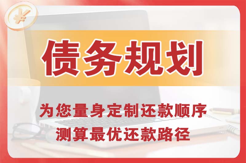 新都债务规划